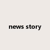 news story是什么意思