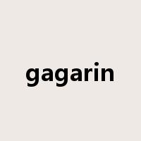 gagarin是什么意思