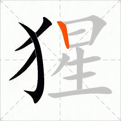 猩