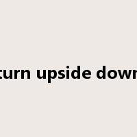 turn upside down是什么意思