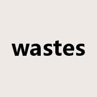 wastes是什么意思
