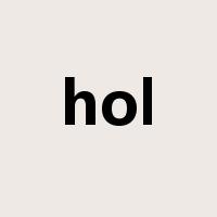 hol是什么意思