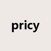 pricy是什么意思