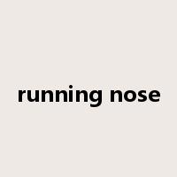 running nose是什么意思