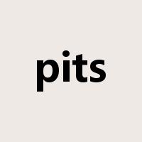 pits是什么意思
