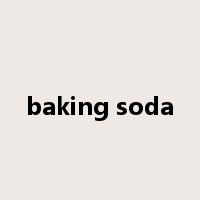 baking soda是什么意思