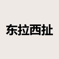 东拉西扯是什么意思