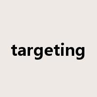 targeting是什么意思