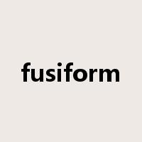 fusiform是什么意思