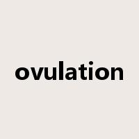ovulation是什么意思