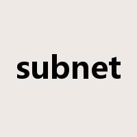 subnet是什么意思