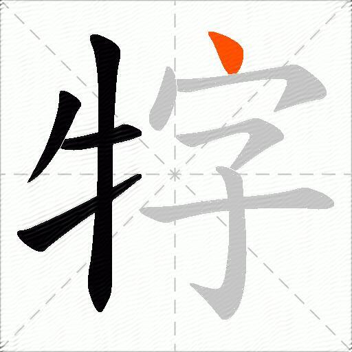 牸