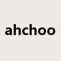 ahchoo是什么意思
