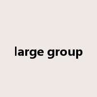 large group是什么意思