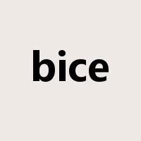bice是什么意思