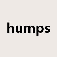 humps是什么意思