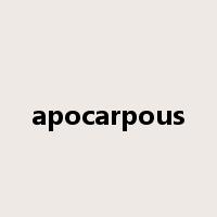 apocarpous是什么意思