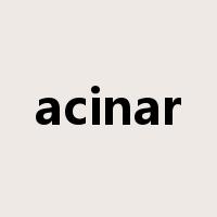acinar是什么意思