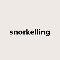 snorkelling是什么意思