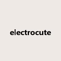 electrocute是什么意思