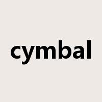 cymbal是什么意思