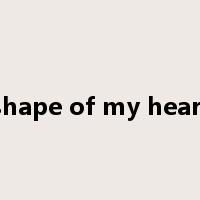 shape of my heart是什么意思