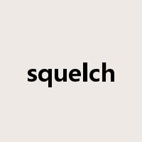 squelch是什么意思