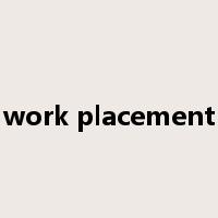 work placement是什么意思