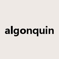 algonquin是什么意思