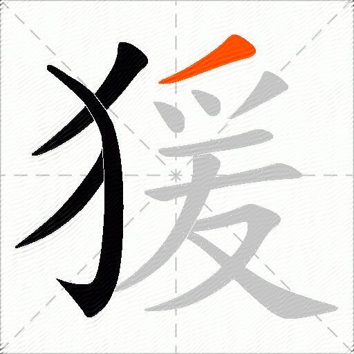 猨