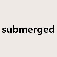 submerged是什么意思