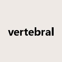 vertebral是什么意思
