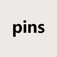 pins是什么意思