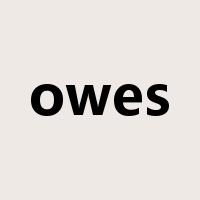 owes是什么意思