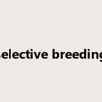 selective breeding是什么意思