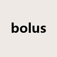 bolus是什么意思