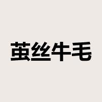 茧丝牛毛是什么意思