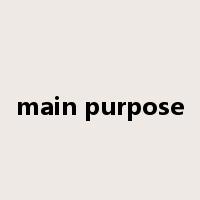 main purpose是什么意思