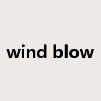 wind blow是什么意思