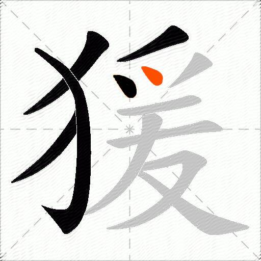 猨