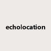 echolocation是什么意思