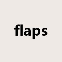 flaps是什么意思