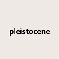 pleistocene是什么意思