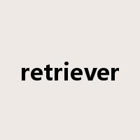 retriever是什么意思