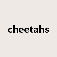 cheetahs是什么意思