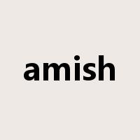 amish是什么意思