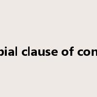 adverbial clause of condition是什么意思