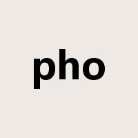 pho是什么意思