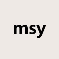 msy是什么意思