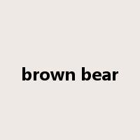 brown bear是什么意思